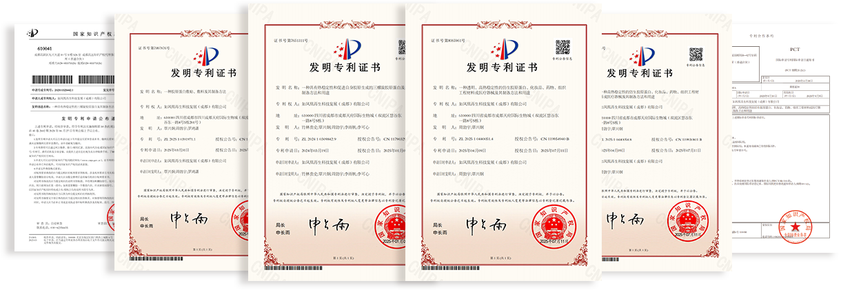 发明专利证书