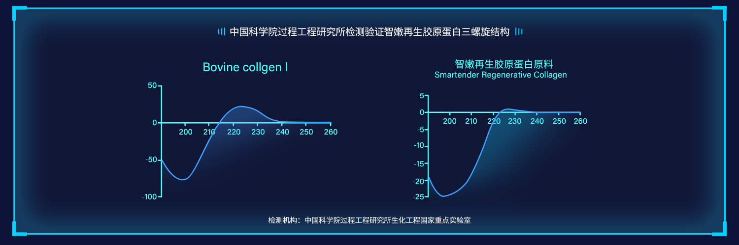 结论：本次CD光谱检测同时测定了牛I型胶原蛋白对照品，结果显示具有典型的221 nm附近的正峰和195 nm 附近的负峰，说明仪器使用性能和检测分析方法正常。智嫩再生胶原蛋白原料（样品批次：2308001）在195～200 nm 附近可检测到负峰，在220-230 nm之间检测到正峰，证明具备三螺旋结构。 备注：  溶解于50℃水中，离心取上清，上清液通过圆二色谱检测。    检测结构：中国科学院过程工程研究所生化工程国家重点实验室